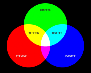 1579448602501.png