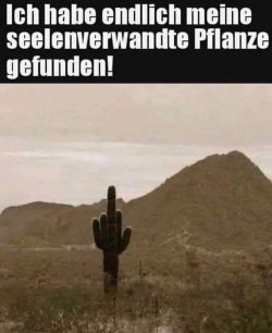 96B7EFBF-8DBF-417F-AE14-C955156A3D65.jpeg