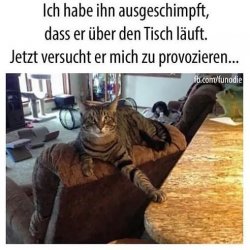 E43C0BA6-2F3E-4EA9-B360-F8B9E82659BD.jpeg