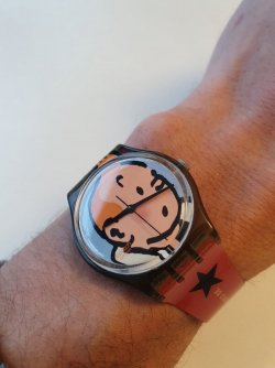 tintinswatch.jpeg