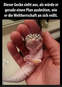 B8F8D84D-9D4A-4383-A053-BCE2904D22A2.jpeg