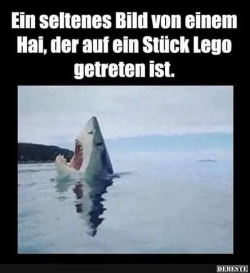 1579858758436.png