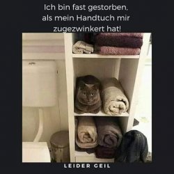 7E4777D4-AE53-44E5-8910-5E23BF81889B.jpeg
