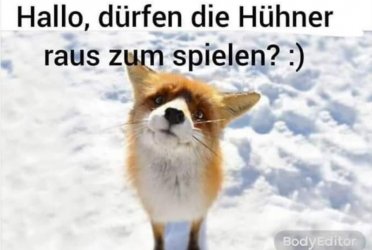 Hallo!.jpg