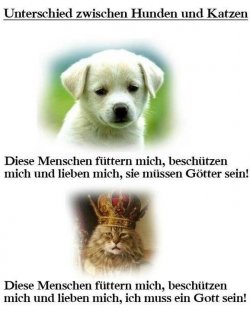 343B2D72-1DA6-44B7-9503-3D9431F07E8A.jpeg