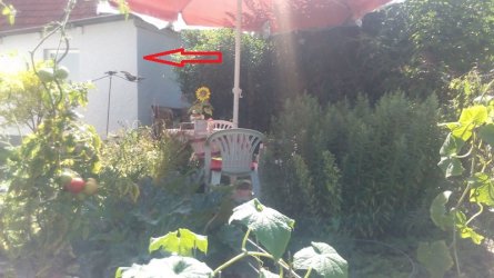 13.08.2016 014.jpg