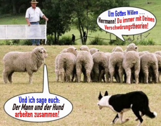 FCB87733-51A3-4D64-B3B8-27613D8007FB.png