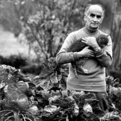 Louis de Funes.jpg