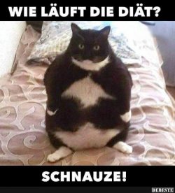 4826CA5F-3D6D-45C0-B2F0-3634066863E3.jpeg