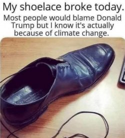 fa01f51a3cff4b574f2ec1b4f25fd5bd.jpg