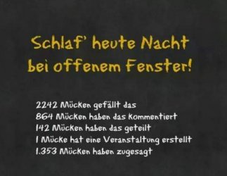 3AB7B0CE-E0DC-4CC7-BE81-872228846DB3.jpeg
