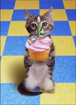 Alles Gute.....jpg