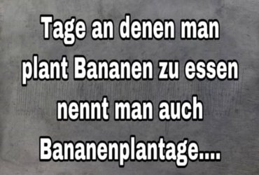 E9D95146-2B9F-43CB-B18B-10BA596023F7.jpeg