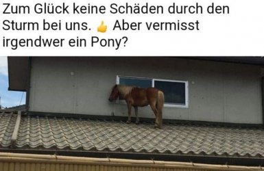 5Unbenannt.JPG