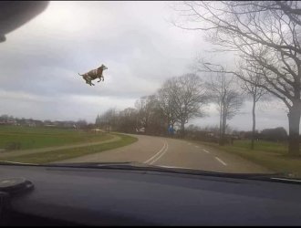 Elsa ist unterwegs....jpg