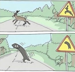 2Unbenannt.JPG