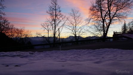 DSC06618.JPG