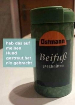 1Unbenannt.JPG