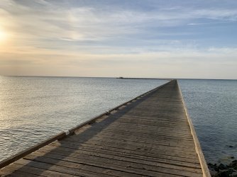 73484283-67E3-48A7-9003-272B7C3D6A51.jpeg