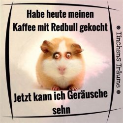 65E8796C-E027-4021-A205-73C9897F57CC.jpeg