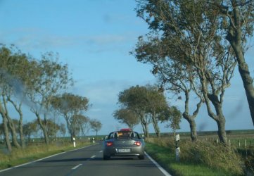 Bild 297b.JPG