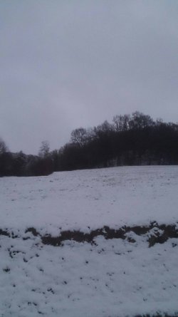 _20200227_182410.JPG