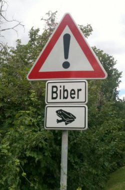 2Unbenannt.JPG