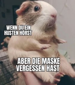 167AFB56-AC54-4E38-B065-8E6F5E98271B.jpeg