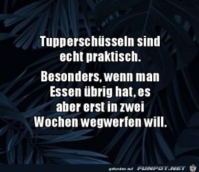 02DA1FDC-A6D4-4D11-A334-6B1469C0E432.jpeg