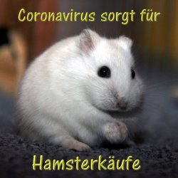hamsterkaeufe.jpg