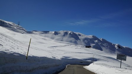 DSC06772.JPG