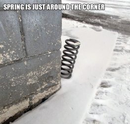 spring.jpg