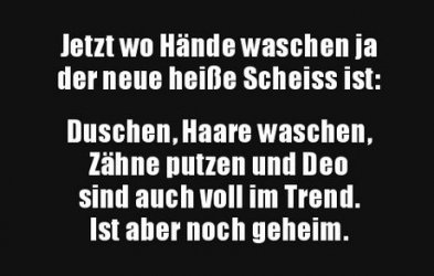 3Unbenannt.JPG