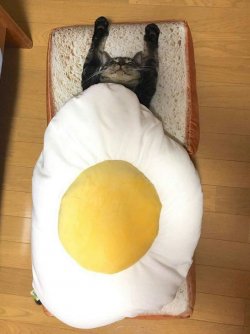 T.jpg