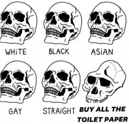 1Unbenannt.JPG