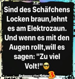 53FCB3E7-D4BC-4195-A44C-F021800149FB.jpeg