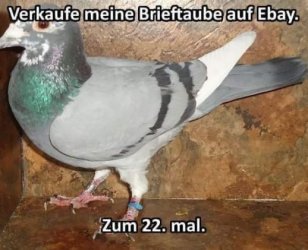 1Unbenannt.JPG