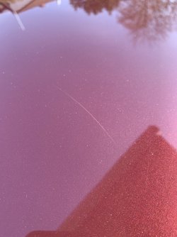 IMG_7011.JPG