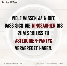 0AB485E2-5535-458F-A821-ABC0DE7D8684.jpeg