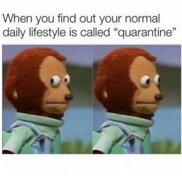 0067B4E8-6F71-455A-A9CB-C496A740B473.jpeg