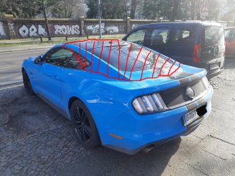 Mustang.jpg