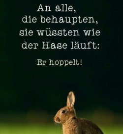 6E61BFE1-738B-4176-80E4-2D5F04FE4048.jpeg