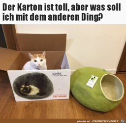 8F0F8625-9C69-4F3F-8807-3170F96A5E50.jpeg