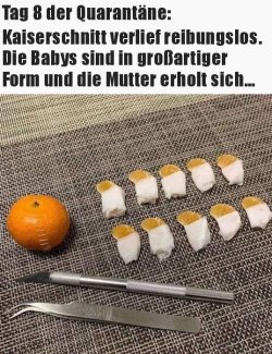 5Unbenannt.JPG