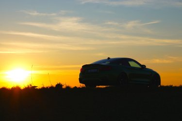 DSC00803_.JPG
