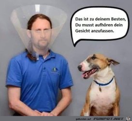 B8FF0873-9B99-481B-AE23-C0BF0B1AF2E4.jpeg