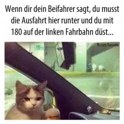 1541EDE7-A081-4F01-B1E7-58A68E5B3494.jpeg