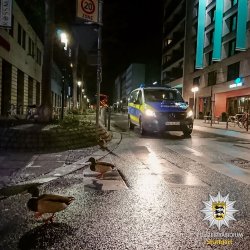 Ente gut.alles gut!.jpg