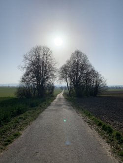 3D1E67FA-D1F6-4DB7-AE0C-09CB53C9D4CB.jpeg