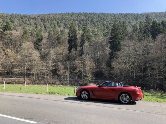 IMG_1683.jpg